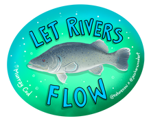 Load image into Gallery viewer, Let Rivers Flow T-shirt