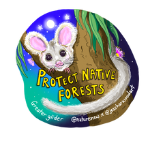 Load image into Gallery viewer, Protect Native Forests Glider T-shirt